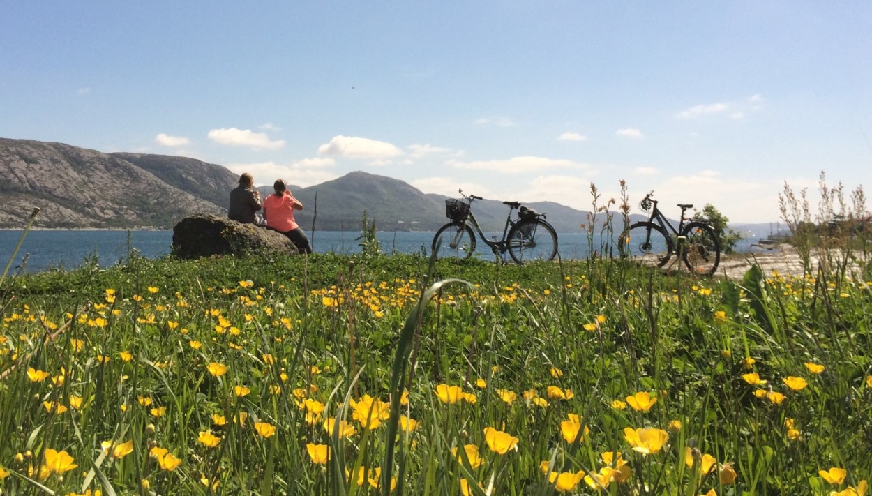 To personer og to sykler ved en bank langs fjorden. I forgrunnen mark med blomster. Blå himmel.
